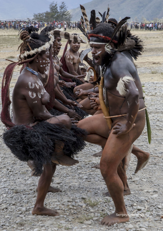 Festivals of the Papua Peoples. Papua Province, Western New Guinea, Indonesia