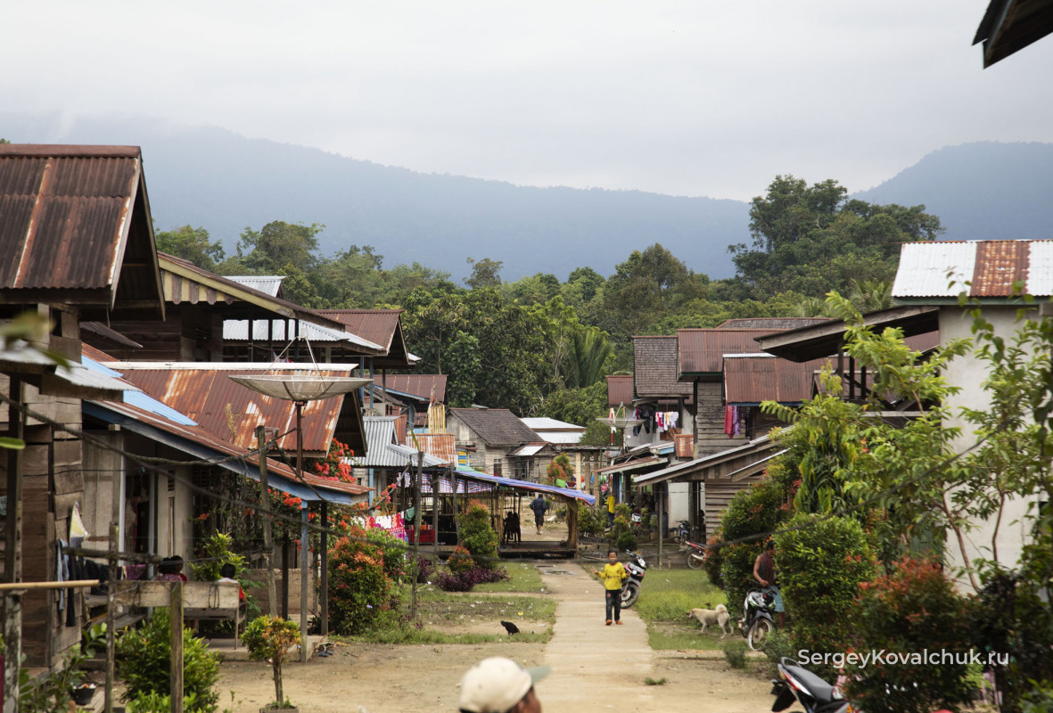 Gawai Dayak Festival, West Kalimantan, Indonesia