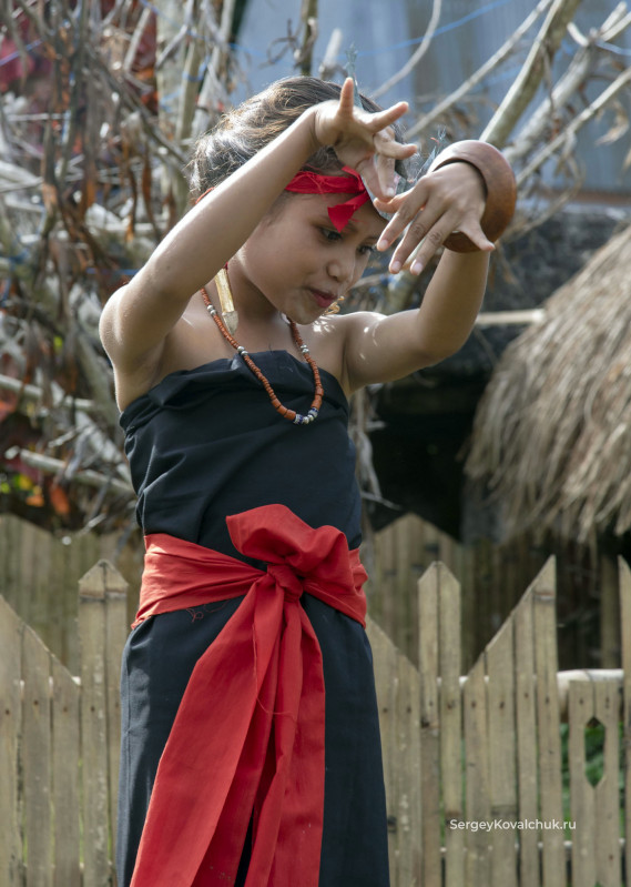 Woleka and Kataga Dances, West Sumba, Indonesia