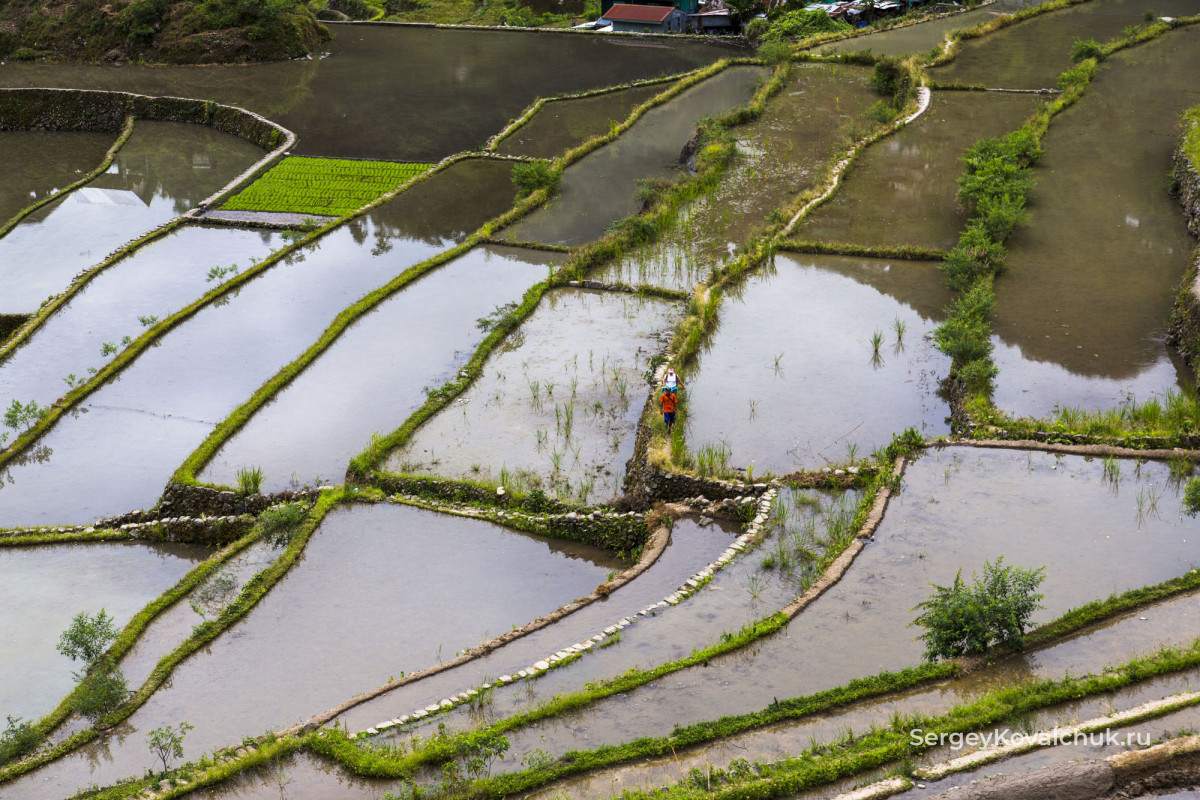Филиппины, Остров Лусон