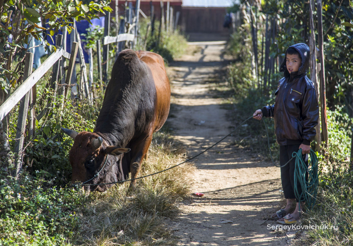 The Xieng Khouang province. The Hmong people