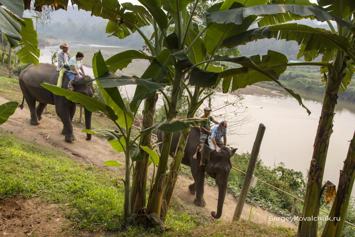 Luang Phabang province. Laos