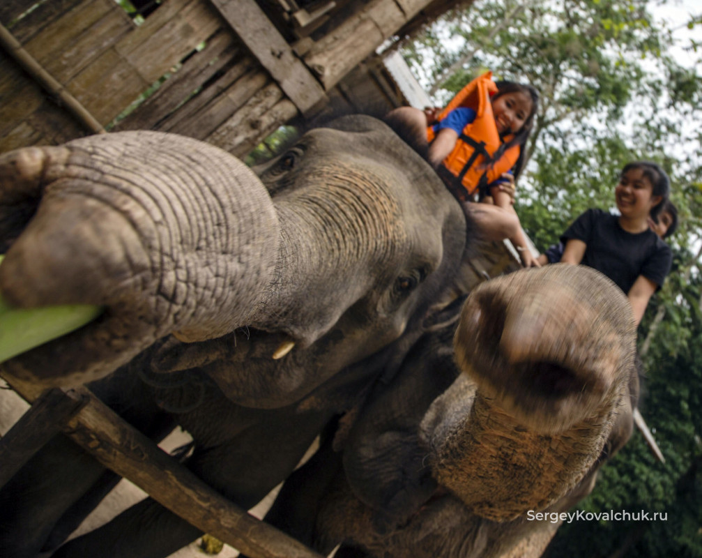 Luang Phabang province. Laos