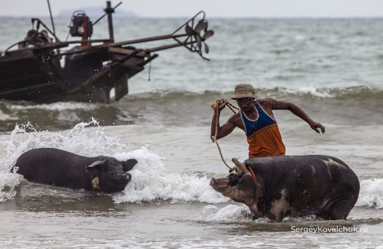 Ngwe Saung Beach