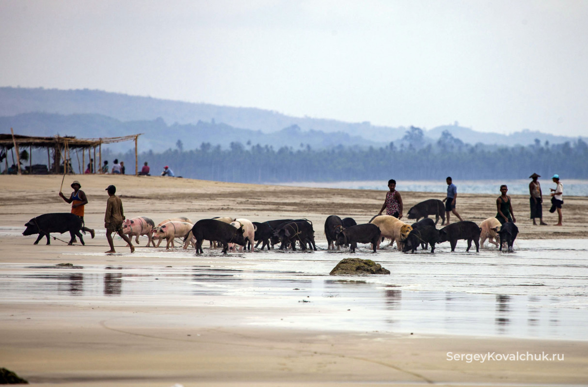 Ngwe Saung Beach