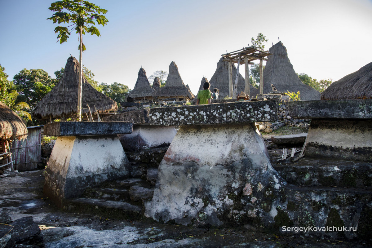 Funeral rites on the island of Sumba, East Indonesia