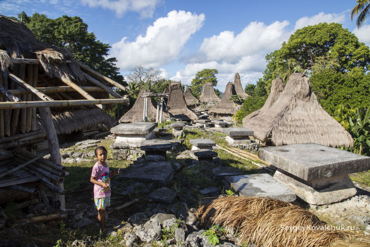 Funeral rites on the island of Sumba, East Indonesia