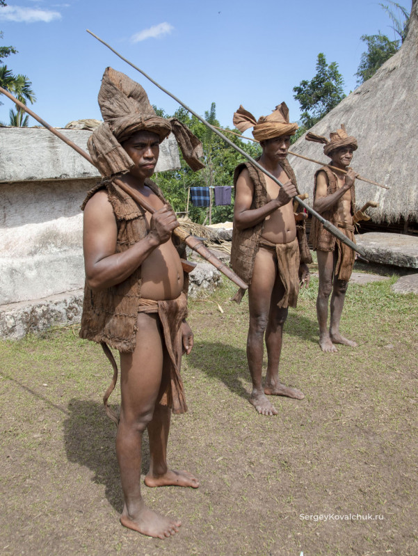 Funeral rites on the island of Sumba, East Indonesia