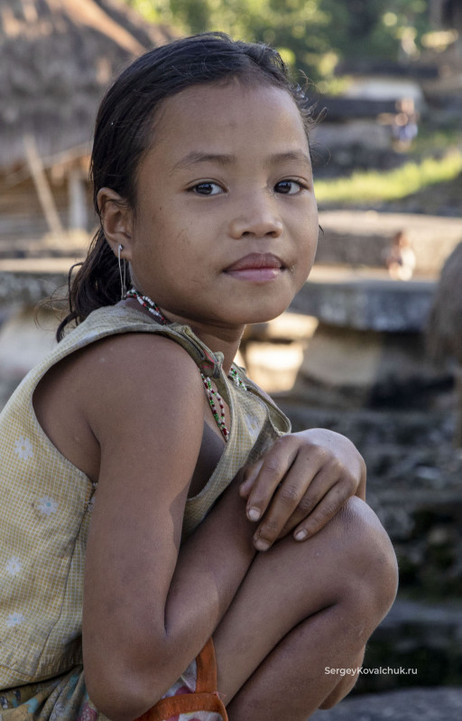 Funeral rites on the island of Sumba, East Indonesia