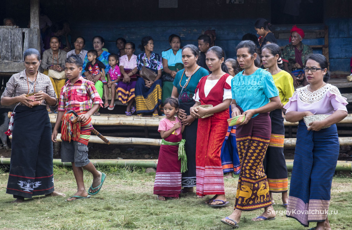 Funeral rites on the island of Sumba, East Indonesia