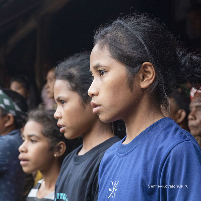 Funeral rites on the island of Sumba, East Indonesia