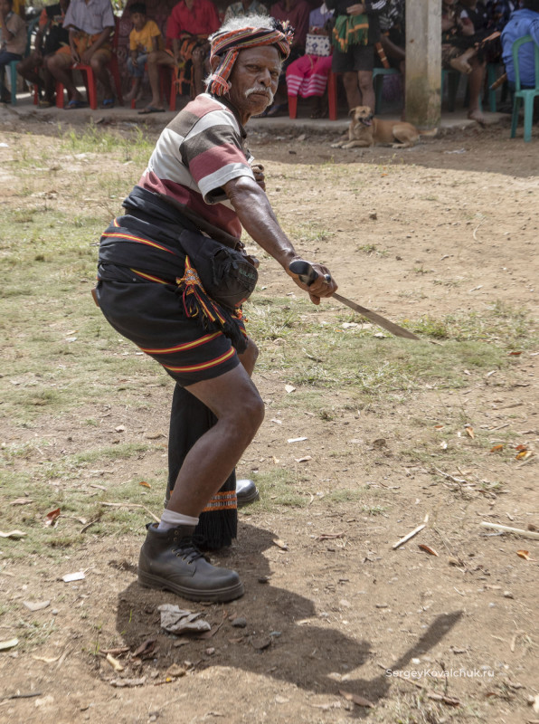 Funeral rites on the island of Sumba, East Indonesia