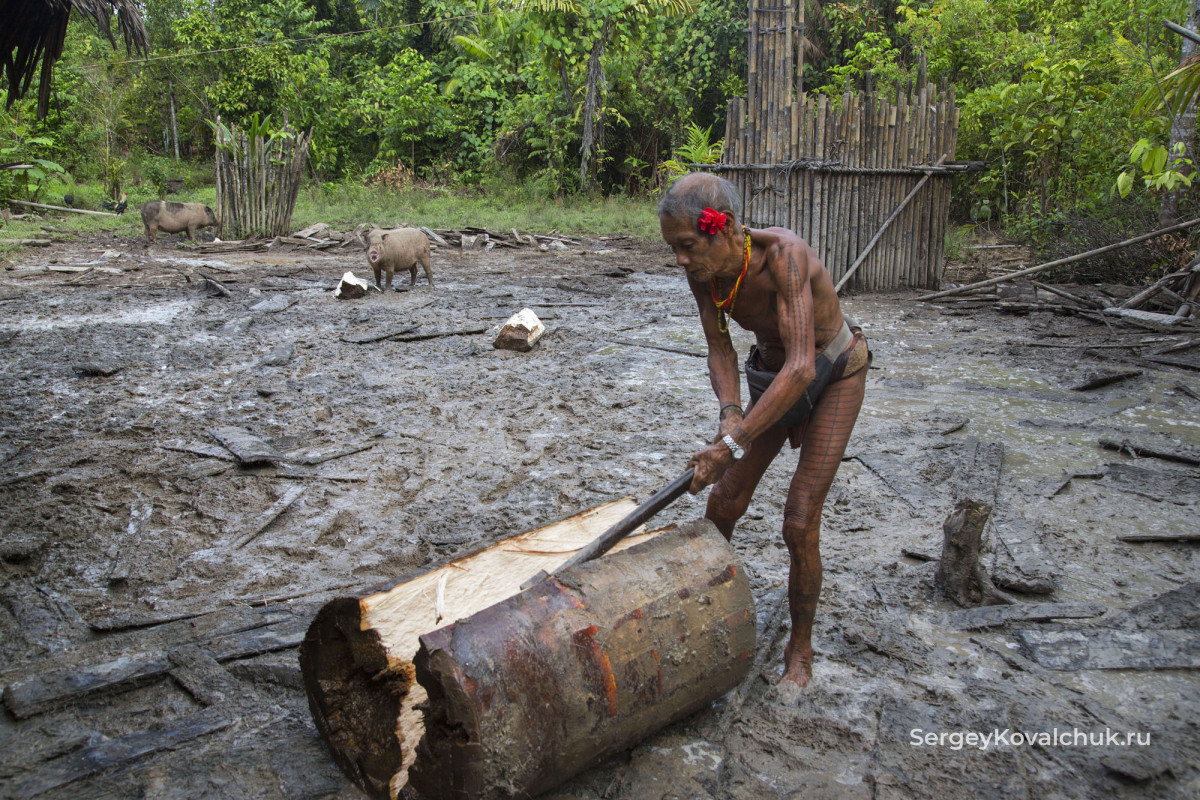 the Mentawans people, The Mentawai Islands, Indonesia