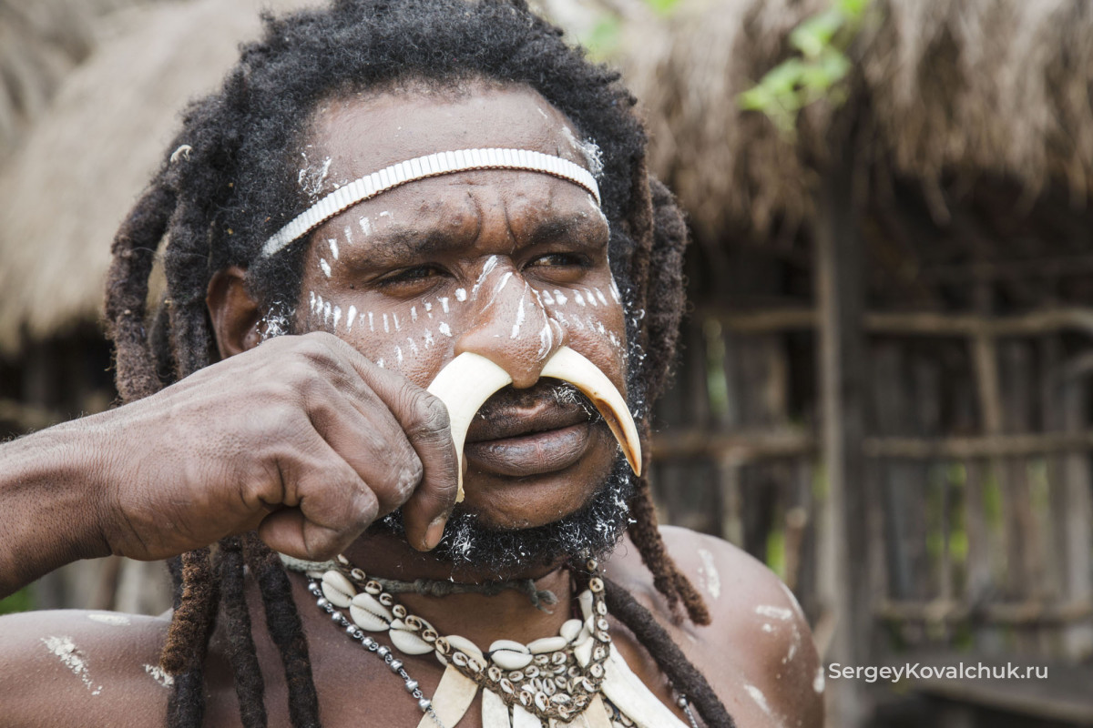 The Togutil people,Baliem Valley in Papua Province, New Guinea, Indonesia