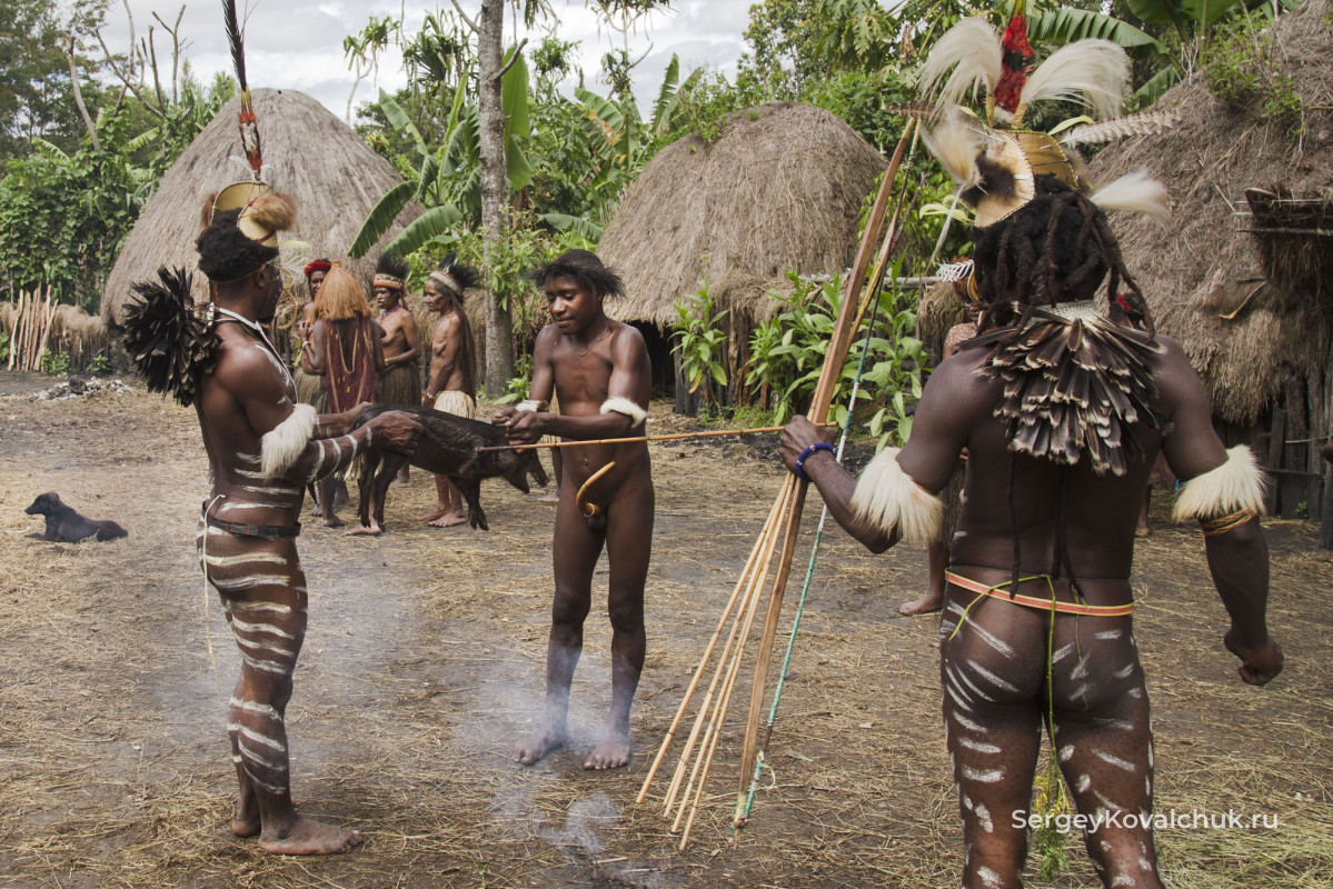 The Togutil people,Baliem Valley in Papua Province, New Guinea, Indonesia