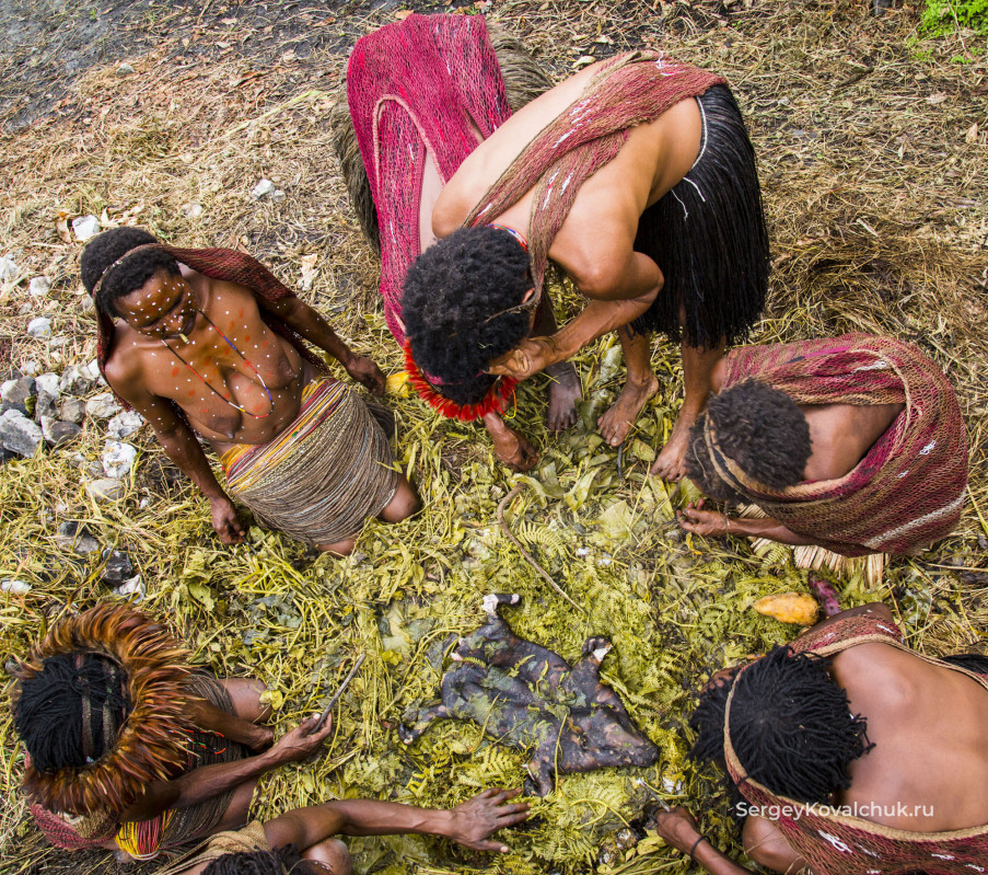 The Togutil people,Baliem Valley in Papua Province, New Guinea, Indonesia