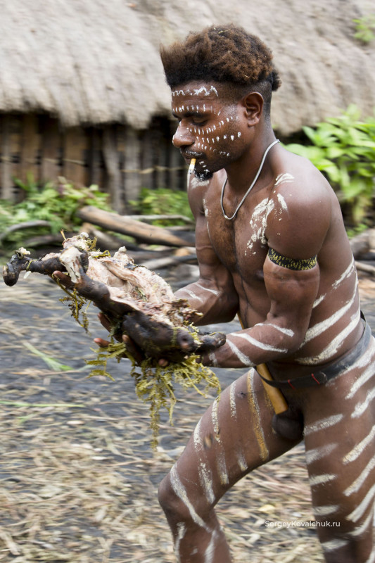 The Togutil people,Baliem Valley in Papua Province, New Guinea, Indonesia